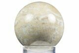 Polished Agatized Fossil Coral Sphere - Indonesia #311530-1